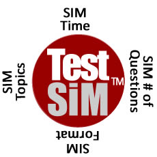 Test Simulation